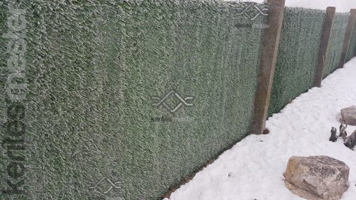 Műsövény kerítésre télen